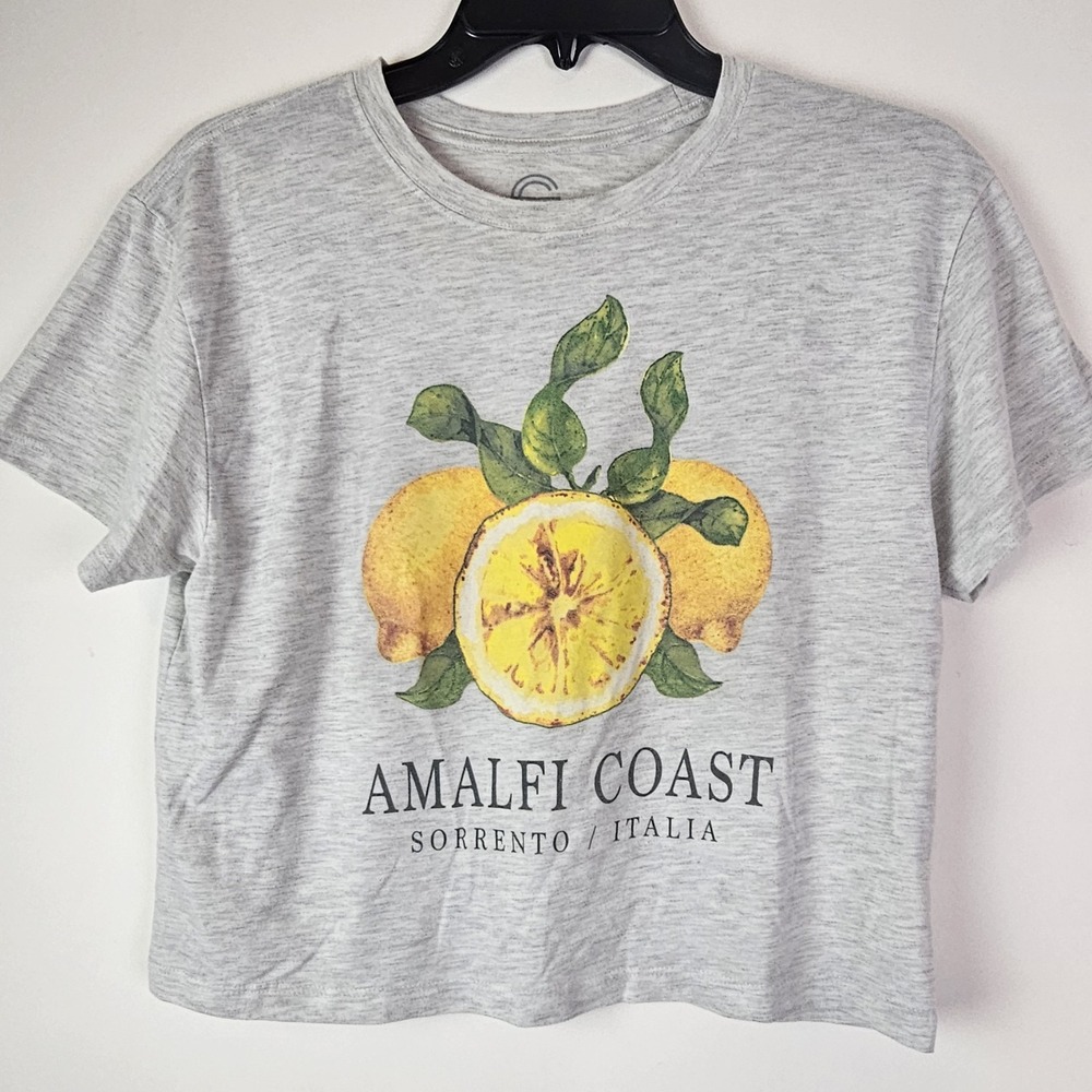 Social Culture Amalfi Coast Italy Lemons Graphic Gray T-Shirt S Y2K Crop Top SS